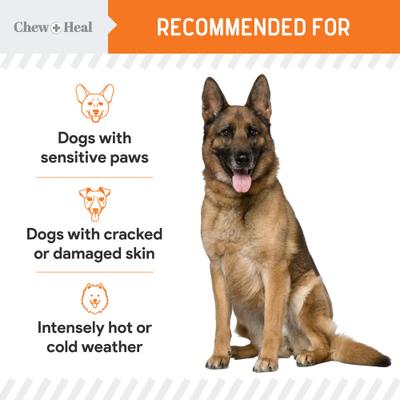 Show full view: Chew + Heal Paw Support Revitalizing Dog Paw Balm, 2-oz slide 7 of 10