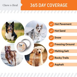 Chew + Heal Paw Support Revitalizing Dog Paw Balm, 2-oz