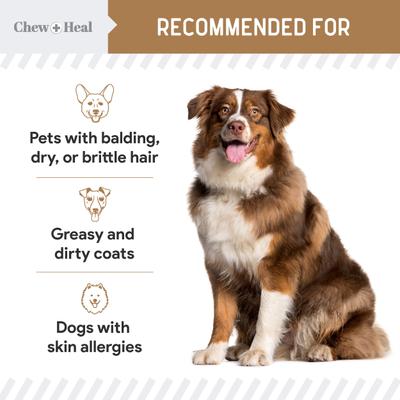 Show full view: Chew + Heal Peanut Butter Omega Skin + Coat Supplement for Dogs, 360 count slide 7 of 10