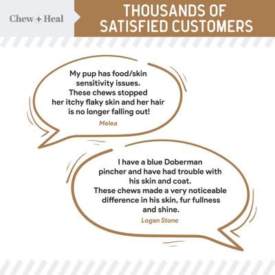 Show full view: Chew + Heal Peanut Butter Omega Skin + Coat Supplement for Dogs, 360 count slide 6 of 10