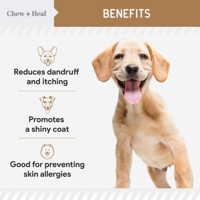 Show full view: Chew + Heal Peanut Butter Omega Skin + Coat Supplement for Dogs, 360 count slide 5 of 10