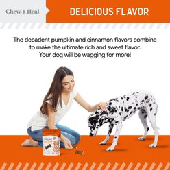 Chew + Heal Pumpkin & Prebiotic Fiber Crunchy Biscuit Dog Treats, 5-oz bag slide 2 of 8
