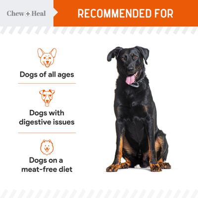 Show full view: Chew + Heal Pumpkin & Prebiotic Fiber Crunchy Biscuit Dog Treats, 5-oz bag slide 7 of 10