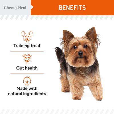 Show full view: Chew + Heal Pumpkin & Prebiotic Fiber Crunchy Biscuit Dog Treats, 5-oz bag slide 5 of 10