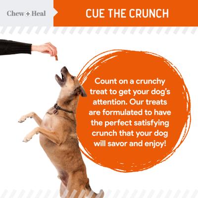 Show full view: Chew + Heal Pumpkin & Prebiotic Fiber Crunchy Biscuit Dog Treats, 5-oz bag slide 4 of 10