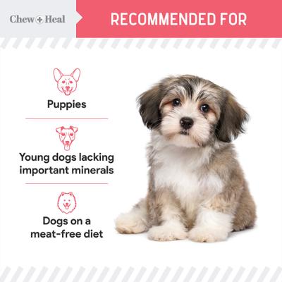 Show full view: Chew + Heal Puppy Soft 'N Yummy Wild Alaskan Salmon Limited Ingredient Jerky Dog Treats, 5-oz bag slide 8 of 11