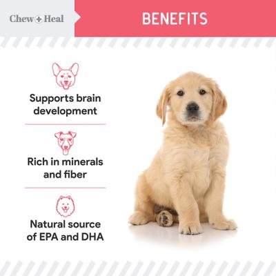 Show full view: Chew + Heal Puppy Soft 'N Yummy Wild Alaskan Salmon Limited Ingredient Jerky Dog Treats, 5-oz bag slide 6 of 11