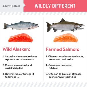 Chew + Heal Puppy Soft 'N Yummy Wild Alaskan Salmon Limited Ingredient Jerky Dog Treats, 5-oz bag
