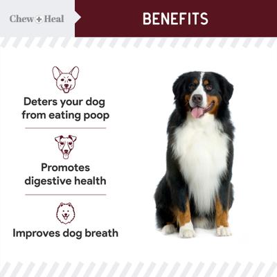 Show full view: Chew + Heal Roasted Lamb Stop The Poo Soft Chew Coprophagia & Digestive Supplement for Dogs, 120 count slide 7 of 10