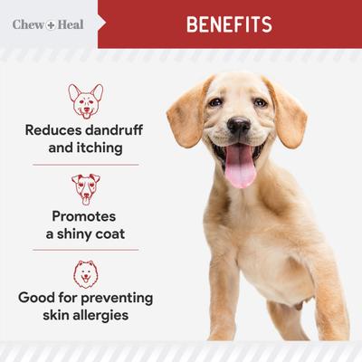Show full view: Chew + Heal Smoked Bacon Omega Skin + Coat Supplement for Dogs, 360 count slide 5 of 10
