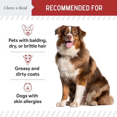 Show full view: Chew + Heal Smoked Bacon Omega Skin + Coat Supplement for Dogs, 360 count slide 7 of 10