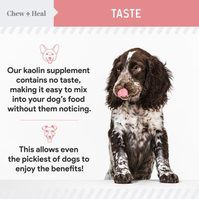 Show full view: Chew + Heal Stop The Diarrhea Liquid Digestive Aid for Dogs, 12-fl oz bottle slide 7 of 11