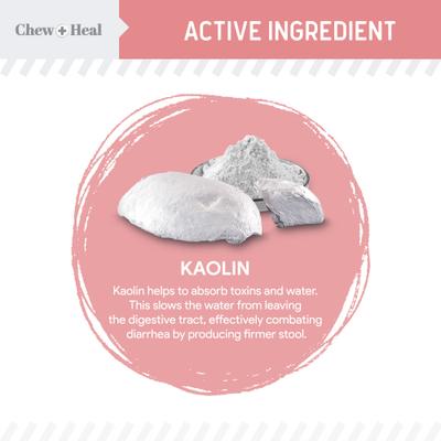 Show full view: Chew + Heal Stop The Diarrhea Liquid Digestive Aid for Dogs, 12-fl oz bottle slide 3 of 11