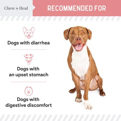 Show full view: Chew + Heal Stop The Diarrhea Liquid Digestive Aid for Dogs, 12-fl oz bottle slide 6 of 11