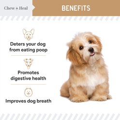 Chew + Heal Stop The Poo Peanut Butter Flavored Soft Chew Coprophagia & Digestive Dog Supplement, 120 count slide 2 of 8