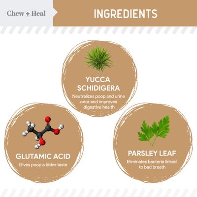 Chew + Heal Stop The Poo Peanut Butter Flavored Soft Chew Coprophagia & Digestive Dog Supplement