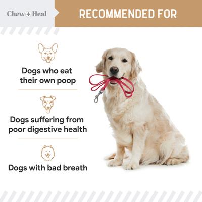 Chew + Heal Stop The Poo Peanut Butter Flavored Soft Chew Coprophagia & Digestive Dog Supplement