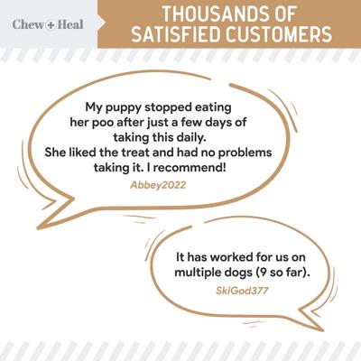 Show full view: Chew + Heal Stop The Poo Peanut Butter Flavored Soft Chew Coprophagia & Digestive Dog Supplement, 240 count slide 5 of 10