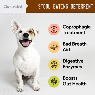 Show full view: Chew + Heal Stop The Poo Soft Chew Coprophagia & Digestive Supplement for Dogs, 120 count slide 3 of 8