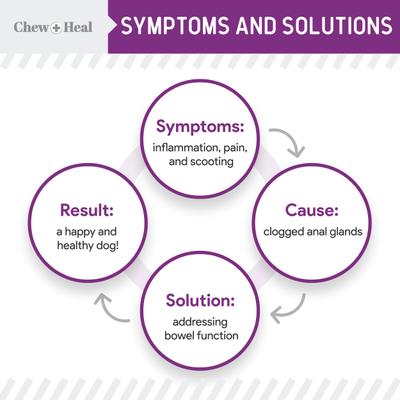Show full view: Chew + Heal Stop the Scoot Anal Gland Support & Bowel Function Supplement for Dogs, 240 count slide 5 of 10
