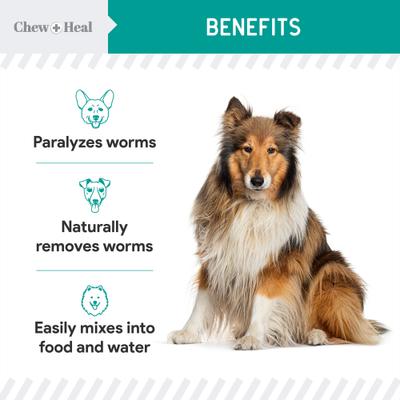 Show full view: Chew + Heal Stop The Worms Wormer for Puppies & Kittens, 12-fl oz bottle slide 4 of 9