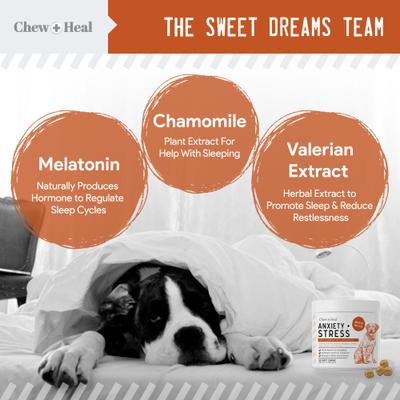 Show full view: Chew + Heal Travel-Sized Anxiety & Stress Chews Supplement for Dogs, 120 count slide 10 of 11