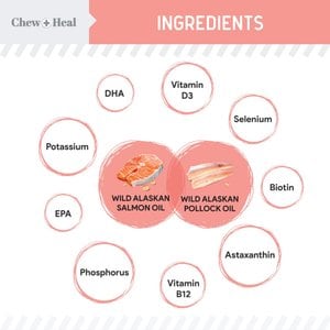 Chew + Heal Wild Alaskan Omega Salmon Oil Formula Skin & Coat Liquid Supplement for Dogs, 16-fl oz bottle