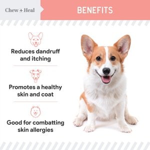 Chew + Heal Wild Alaskan Omega Salmon Oil Formula Skin & Coat Liquid Supplement for Dogs, 16-fl oz bottle