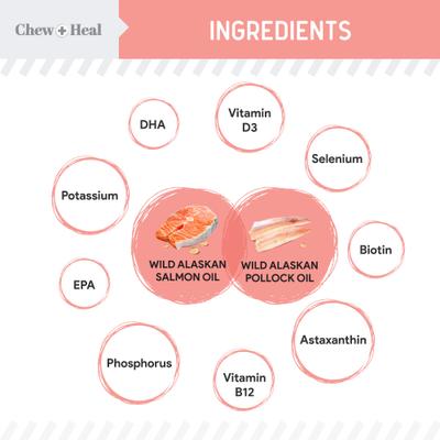 Show full view: Chew + Heal Wild Alaskan Omega Salmon Oil Formula Skin & Coat Liquid Supplement for Dogs, 32-fl oz bottle slide 6 of 11