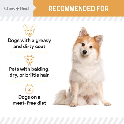 Show full view: Chew + Heal Wild Alaskan Omega Skin + Coat Salmon Soft Jerky Dog Treats, 12-oz bag slide 9 of 12