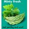 Show in main carousel: Chewsday Minty Fresh Daily Dental Dog Dental Treats, 28 count, X-Small slide 4 of 9