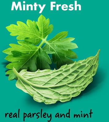 Show full view: Chewsday Minty Fresh Daily Dental Dog Dental Treats, 28 count, X-Small slide 4 of 9