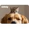 Show in main carousel: Chewy eGift Card, Pets Bring Us Together, $50 slide 1 of 1