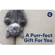 Chewy eGift Card