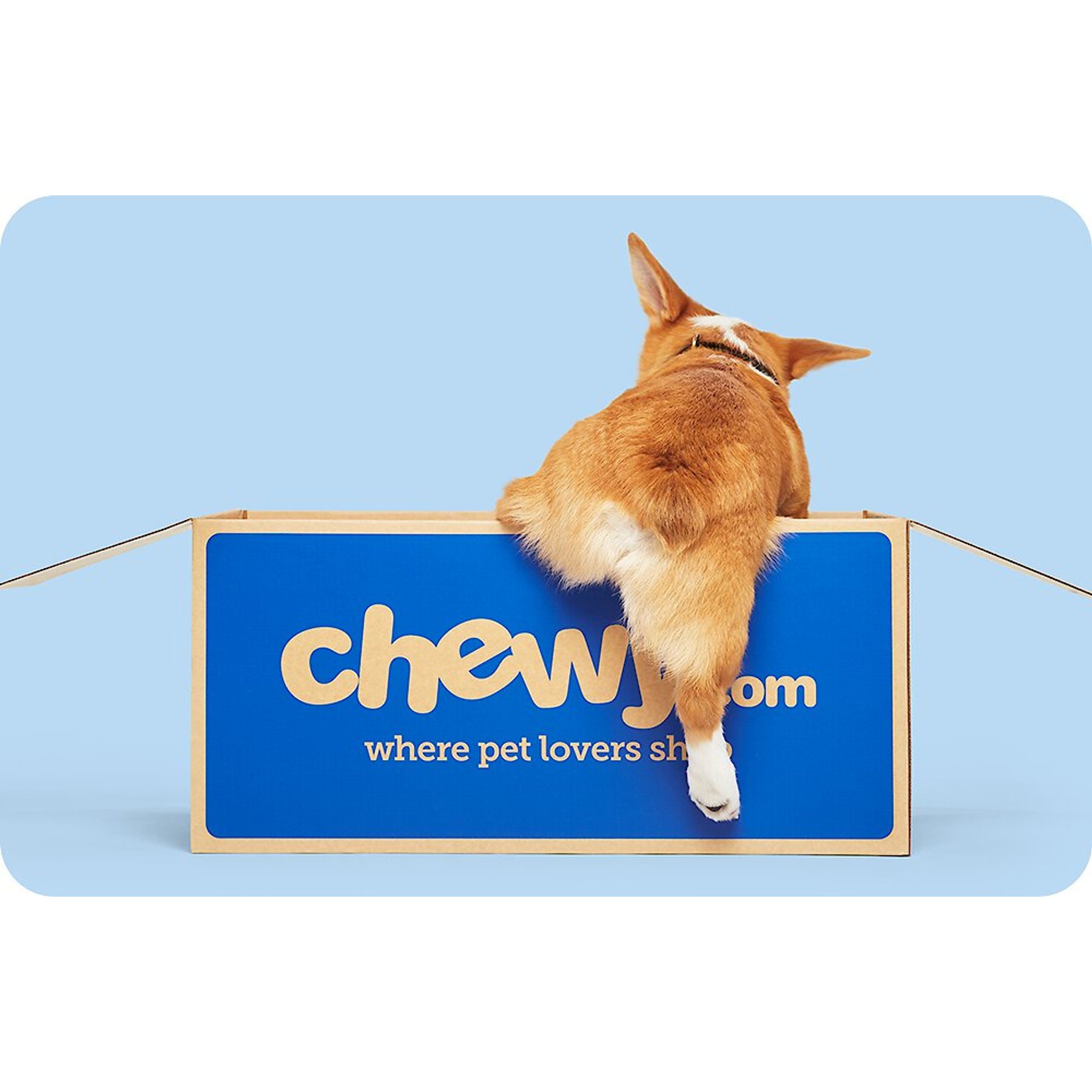 Chewy eGift Card, Special Delivery Dog, $25