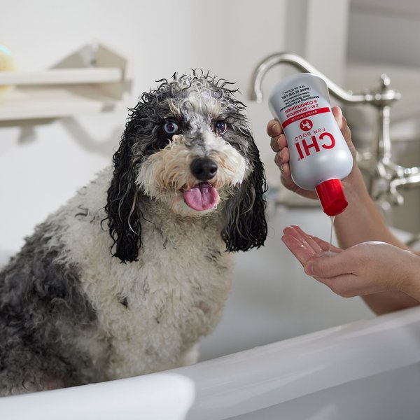 CHI Gentle 2 in1 Dog Shampoo & Conditioner, 16-fl oz bottle - Chewy.com