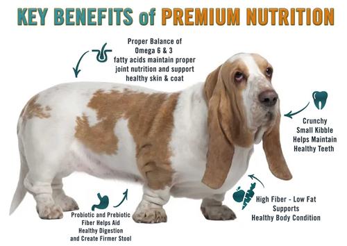 Show full view: Chicken Soup for the Soul Adult Weight Care Brown Rice, Chicken & Turkey Recipe Dry Dog Food, 4.5-lb bag slide 4 of 12