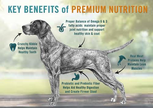 Show full view: Chicken Soup for the Soul Beef & Brown Rice Recipe Adult Dry Dog Food, 13.5-lb bag slide 4 of 11