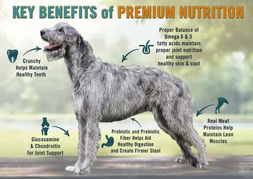 Show full view: Chicken Soup for the Soul Beef & Brown Rice Recipe Large Breed Adult Dry Dog Food, 28-lb bag slide 4 of 12