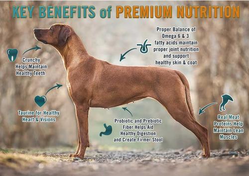 Show full view: Chicken Soup for the Soul Beef & Legumes Recipe Grain-Free Dry Dog Food, 25-lb bag slide 4 of 11