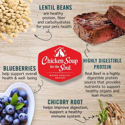 Show full view: Chicken Soup for the Soul Beef & Legumes Recipe Grain-Free Dry Dog Food, 4-lb bag slide 6 of 11