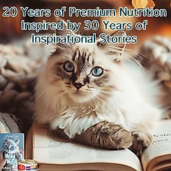 Chicken Soup for the Soul Chicken Dinner in Gravy Recipe Shreds Wet Cat Food, 5.5-oz can, case of 24 slide 2 of 5