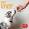 Show in main carousel: Chicken Soup for the Soul Food & Treats Bundle: Large Breed Puppy Chicken, Turkey & Brown Rice Dry Food, 28-lb bag + Savory Snacks Chicken Treats, 6-oz bag slide 9 of 9