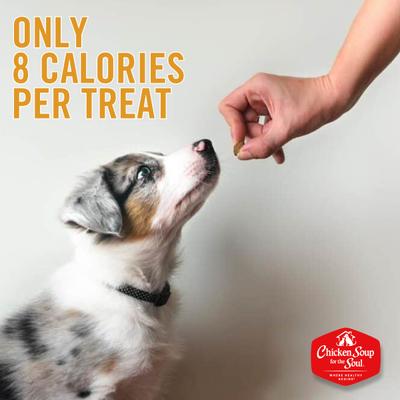 Show full view: Chicken Soup for the Soul Food & Treats Bundle: Large Breed Puppy Chicken, Turkey & Brown Rice Dry Food, 28-lb bag + Savory Snacks Chicken Treats, 6-oz bag slide 9 of 9
