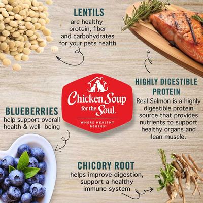 Show full view: Chicken Soup for the Soul Grain-Free Salmon, Pea & Sweet Potato Recipe Dry Dog Food, 10-lb bag slide 6 of 11
