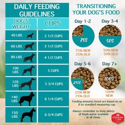 Chicken Soup for the Soul Large Breed Adult Chicken, Turkey & Brown Rice Recipe Dry Dog Food, 28-lb bag slide 2 of 9