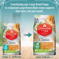 Chicken Soup for the Soul Large Breed Puppy Chicken, Turkey & Brown Rice Recipe Dry Dog Food, 28-lb bag slide 2 of 9