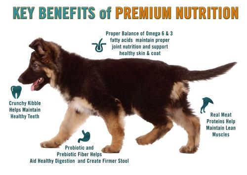 Show full view: Chicken Soup for the Soul Large Breed Puppy Chicken, Turkey & Brown Rice Recipe Dry Dog Food, 28-lb bag slide 4 of 13