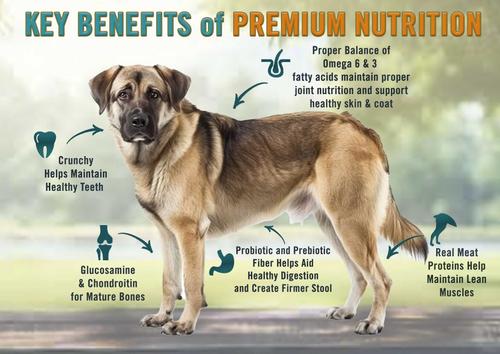 Show full view: Chicken Soup for the Soul Mature & Senior Chicken, Turkey & Brown Rice Recipe Dry Dog Food, 13.5-lb bag slide 4 of 12