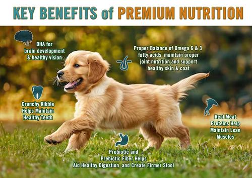 Show full view: Chicken Soup for the Soul Puppy Chicken, Turkey & Brown Rice Recipe Dry Dog Food, 4.5-lb bag slide 4 of 13